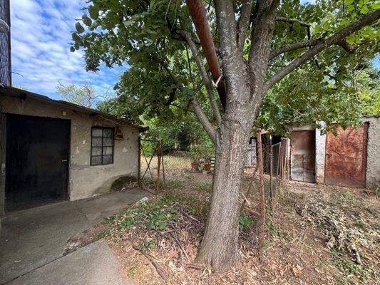 WhatsApp-kép, 2025-07-27, 06.35.08_441dd11a.jpg