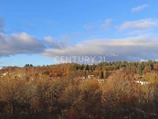 Ausblick vom aktuellen Balkon