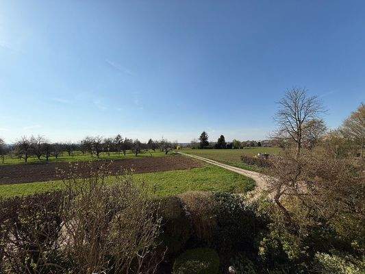 Ihre zukünfte Aussicht1