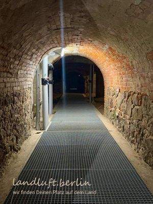 Durchgang im Gewölbekeller.jpg