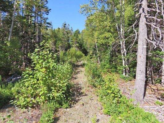 Cape Breton - Bras d`Or Lake - Tolles See-Ufergrun