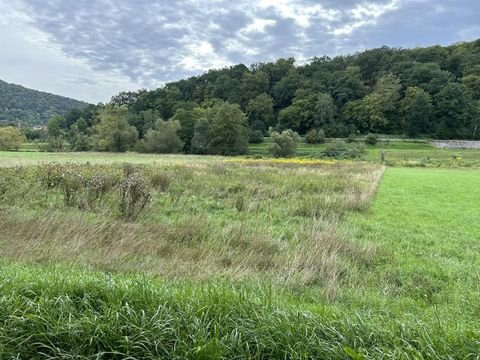 Hammelburg Bauernhöfe, Landwirtschaft, Hammelburg Forstwirtschaft