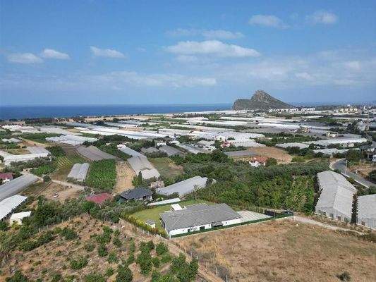 WhatsApp Image 2025-11-28 at 12.20.29.jpeg