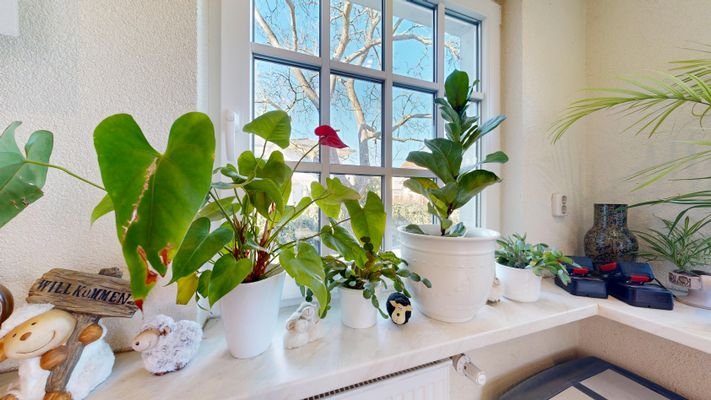 Veranda:Eingangsbereich 2.jpg