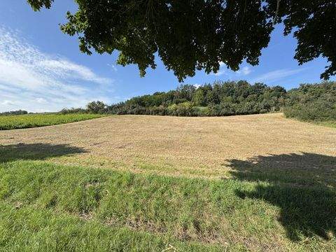 Weng Bauernhöfe, Landwirtschaft, Weng Forstwirtschaft