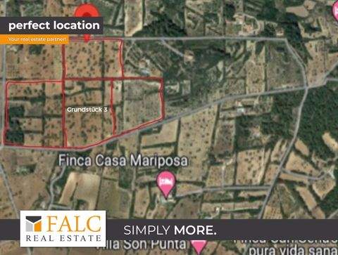 Son Proenç Grundstücke, Son Proenç Grundstück kaufen