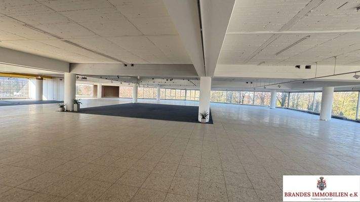 Design ohne Titel (7)