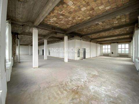 Berlin Halle, Berlin Hallenfläche