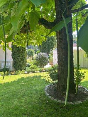 Traumhafter Blick in den Garten