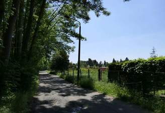 Ansicht Seestraße.png