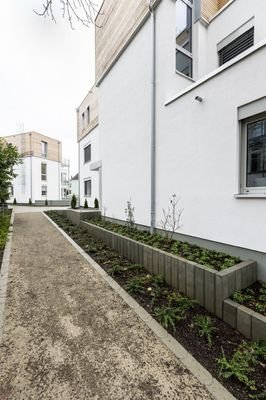 Bild6