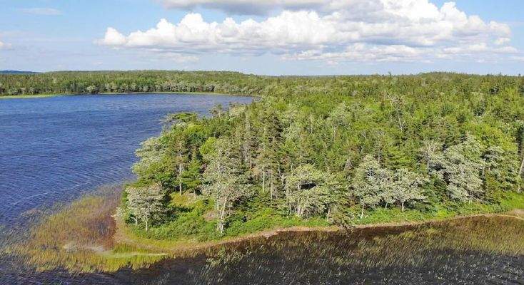 Cape Breton - Third Lake - Wunderschönes See-Uferg