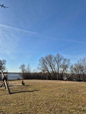 Badestelle Dammsee mit Spielplatz