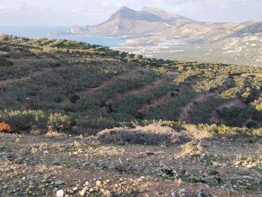 Kreta, Phalasarna: Grundstück zum Verkauf in Falassarna, Chania