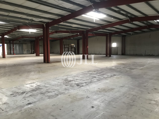 Halle 2_Innenansicht Flachlage