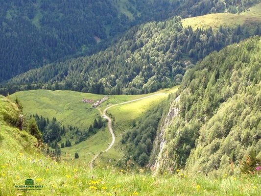 Jagdrevier, Immobilien-Kurz-Salzburg