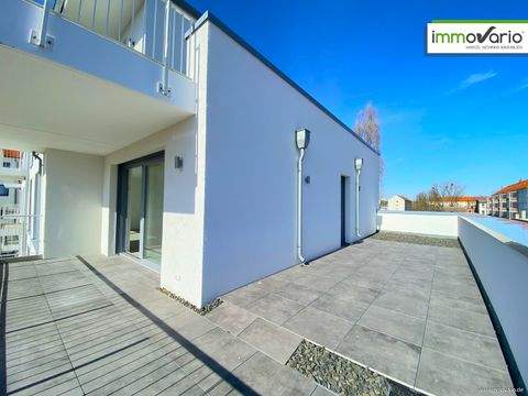 Magdeburg / Neue Neustadt Wohnungen, Magdeburg / Neue Neustadt Wohnung mieten