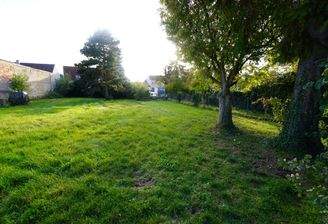 Grundstück Altbestand Bäume 1