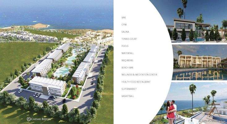 Caesar Projects Catalogue 2024_Seite_33