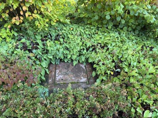 Bunkerausgang im Vorgarten