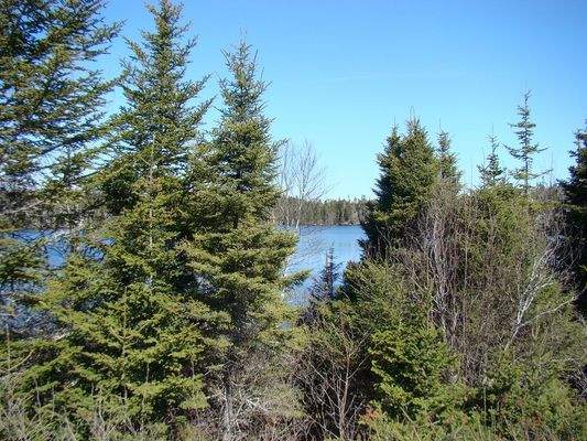 Blick von der Straße auf den See