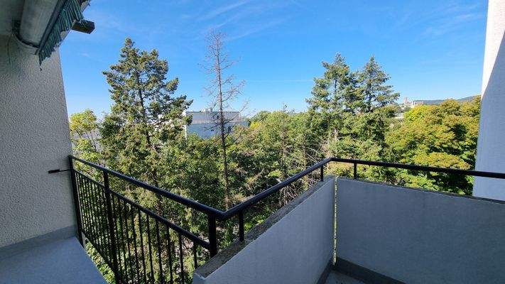 Burgblick vom Balkon