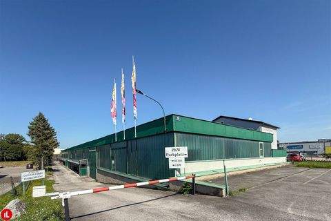 Zwölfaxing Halle, Zwölfaxing Hallenfläche