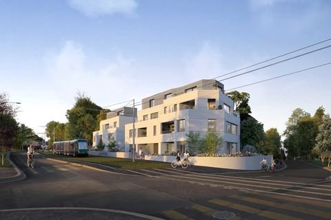 Basel Wohnungen, Basel Wohnung kaufen