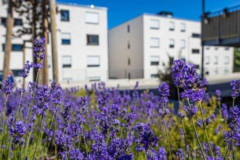 Trier Wohnungen, Trier Wohnung mieten
