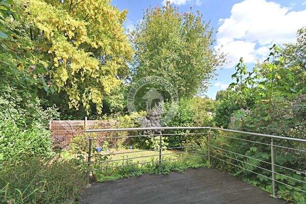 Der Blick in den begrünten Garten