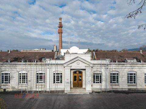 Hard Halle, Hard Hallenfläche