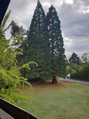 Aussicht vom Balkon.jpg