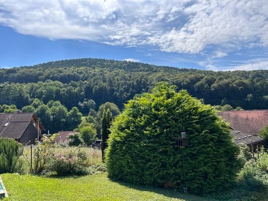 Garten und Ausblick