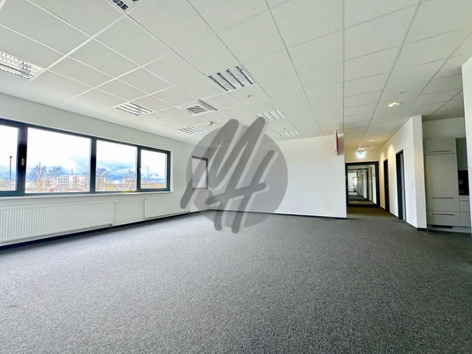 INFOS UNTER: 06171-586000