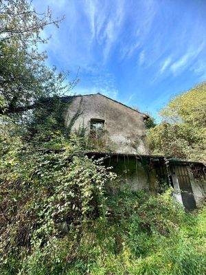 WhatsApp Image 2024-11-05 at 11.24.00 (1).jpeg