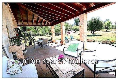 Arta Häuser, Arta Haus kaufen