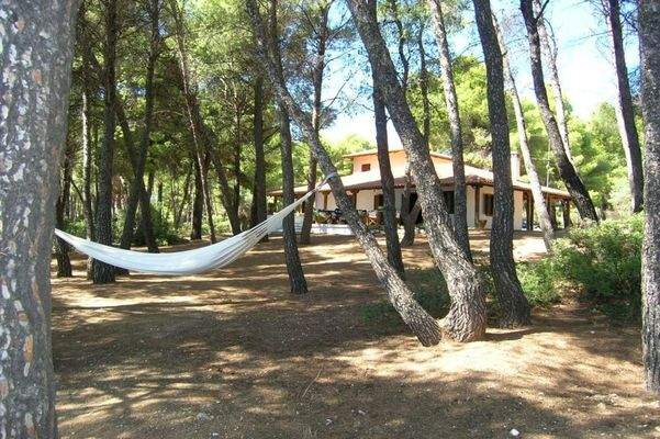 VILLA HALKIDIKI SITHONIA