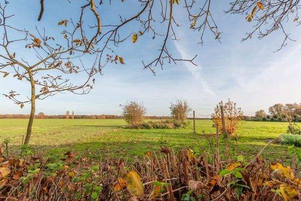 Weitblick in den Garten