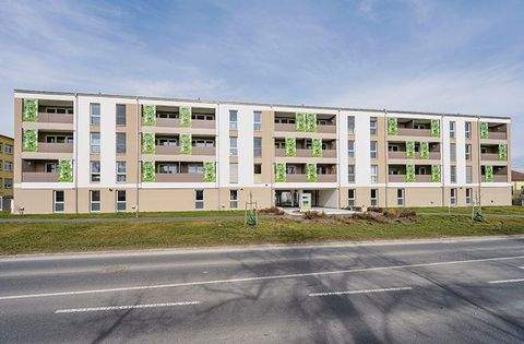 Horn Wohnungen, Horn Wohnung mieten