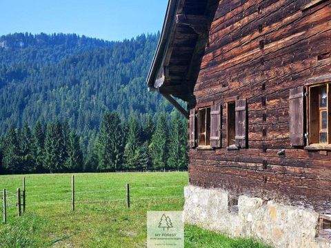 Balderschwang Renditeobjekte, Mehrfamilienhäuser, Geschäftshäuser, Kapitalanlage