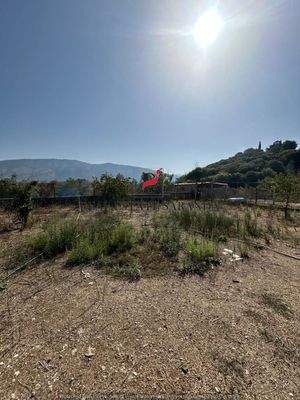 WhatsApp Image 2024-09-06 at 10.30.40.jpeg