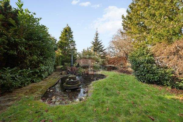 Grüne Oase mit Teich