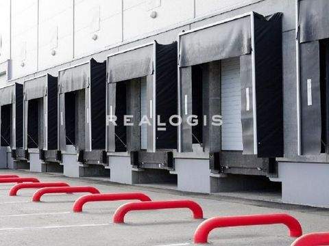 Winnenden Halle, Winnenden Hallenfläche