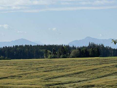 Kienberg Häuser, Kienberg Haus kaufen