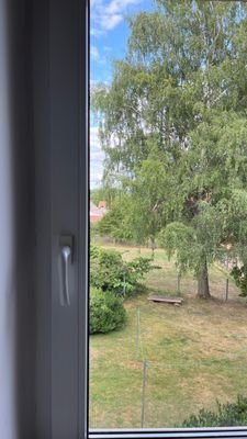 IMG_3203.JPEG