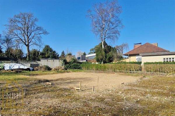 Blick vom vorderen Grundstücksteil 