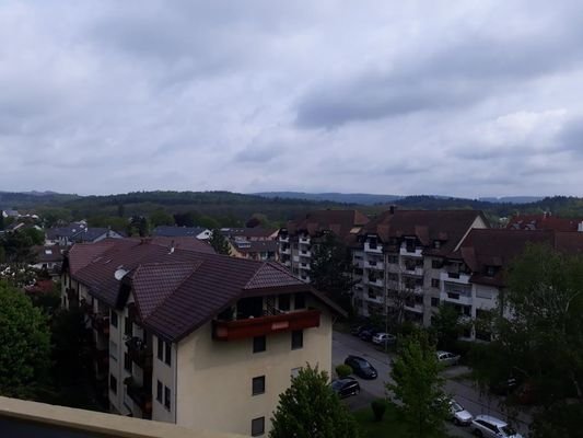 Ausblick auf Radolfzell