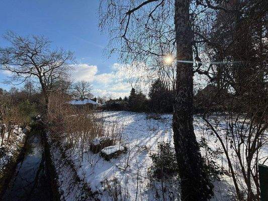 Blick auf das Wohngrundstück
