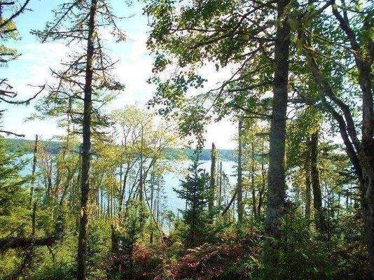 Blick zur Wasserfront