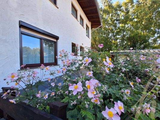 Petra Huber Immobilien TIROL